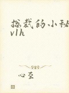 总裁的小秘书1v1h