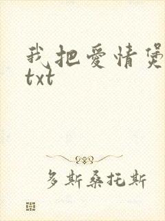 我把爱情煲成汤txt封面