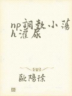 np调教小荡货h灌尿