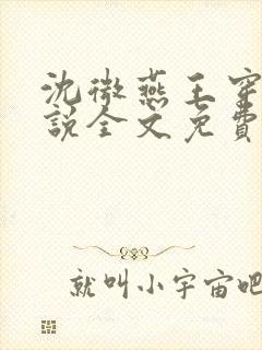沈微燕王穿越小说全文免费阅读
