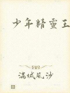 少年精灵王封面