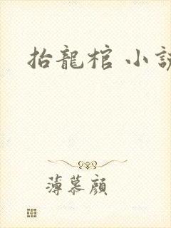 抬龙棺 小说