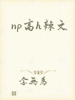 np高h辣文封面