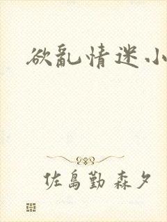 欲乱情迷小说
