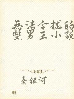 无法合拢的总裁双男主小说