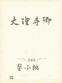 大理寺卿
