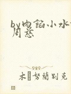 by肉馅小水饺周慈封面