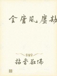金庸风尘劫封面