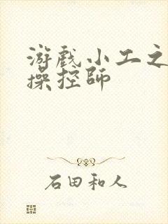 游戏小工之元素操控师封面