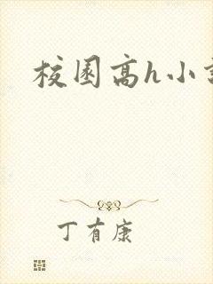 校园高h小说封面