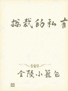 总裁的私有宝贝