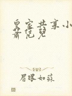 皇家共享小公主萧凭儿封面