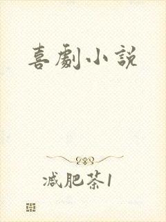 喜剧小说封面