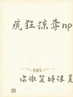 疯狂掠夺npc