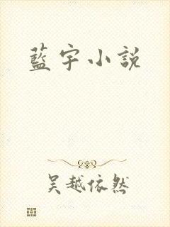 蓝宇小说