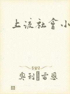 上流社会小说封面