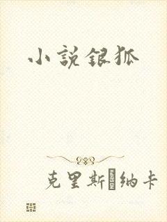 小说银狐