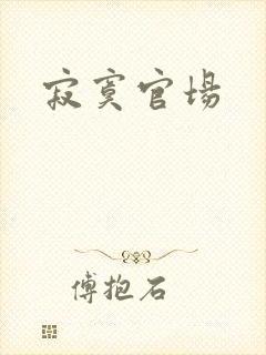 寂寞官场