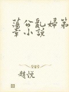 荡公乱妇第51章小说