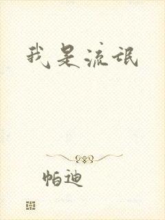 我是流氓封面