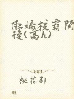 傲娇校霸开荤以后(高h)