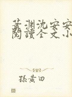 萧渊沈安安免费阅读全文小说