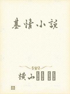 基情小说