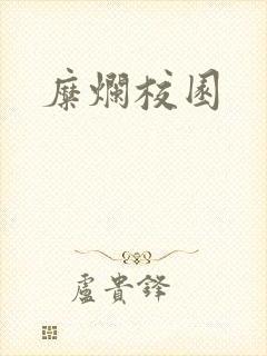 糜烂校园封面