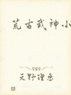 荒古武神小说