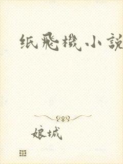 纸飞机小说