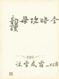 韵母攻略全文阅读封面