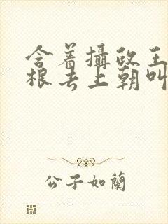 含着摄政王的紫根去上朝叫什么封面