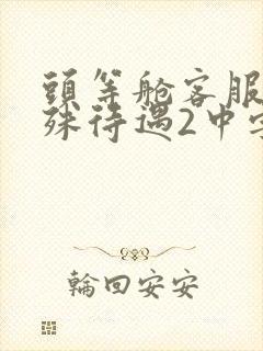 头等舱客服的特殊待遇2中字