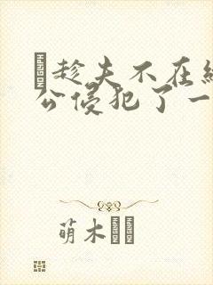 巜趁夫不在给给公侵犯了一天