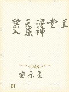 禁天漫堂直接进入原神