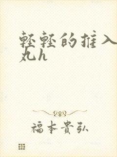 轻轻的推入合欢丸h