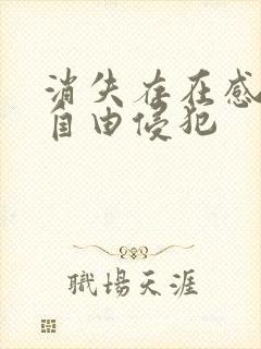 消失存在感消失自由侵犯