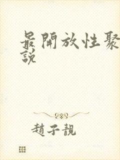 最开放性聚会小说