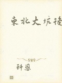 东北大坑后续2