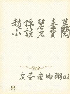 赵锦儿秦慕修的小说免费阅读全文