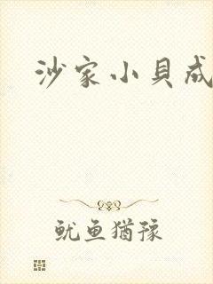 沙家小贝成长记封面