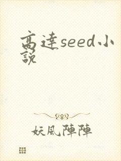 高达seed小说