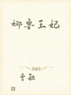 娜鲁王妃封面