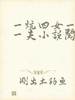一炕四女一共侍一夫小说阅读封面