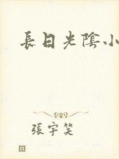 长日光阴小说封面
