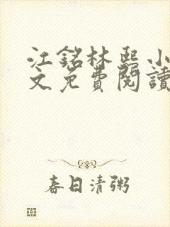 江铭林熙小说全文免费阅读