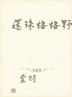 还珠格格野传