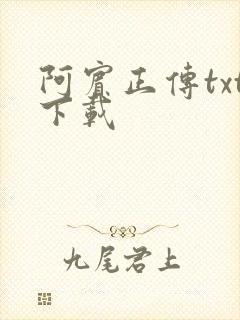 阿宾正传txt下载