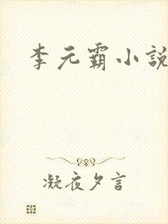 李元霸小说封面
