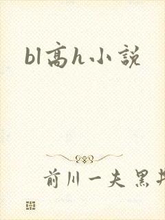bl高h小说